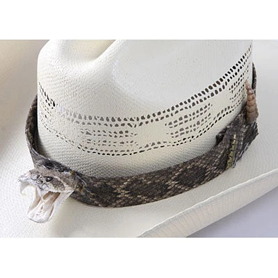 Randal's Wildlife Creations Rattlesnake Hatband With Head 1 Randal's Wildlife Creations Rattlesnake Hatband With Head