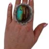 EXTRA LARGE TURQUOISE AND BROWN SCALLOP FRAME RING- SIZE 7.5