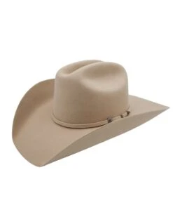 TWISTER DALLAS 3 PIECE BUCKLE SET HAT- SILVERBELLY