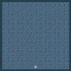 HORSESHOE AND AGAVE POCKET SQUARE