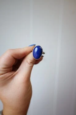 Peyote Bird Lapis Ring- Size 8.5 10 Peyote Bird Lapis Ring- Size 8.5 -Western Cowboy Clothing Store image 7ce932ed 6212 4641 afe5 b2d19f04d60a