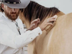 VOGT HORSEMAN BOLO 5 VOGT HORSEMAN BOLO -Western Cowboy Clothing Store vogt silversmiths bolos the horseman bolo 29517668843716 700x a977ddf8 bcd1 4796 8e38 0fd2b1f31ae3